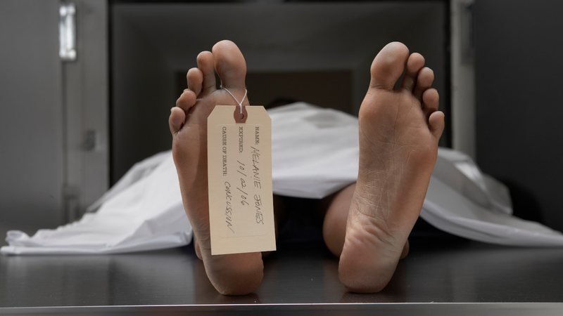 Depois da morte